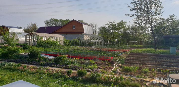 Теплицы от производителя