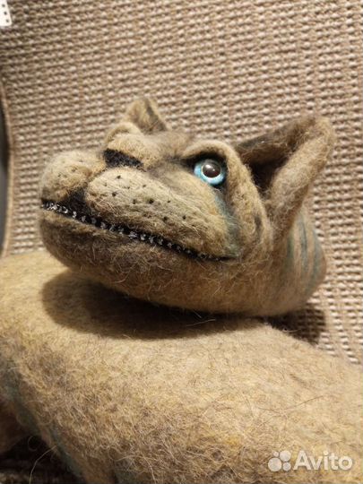 Зверотапки : Чеширский кот из овечьей шерсти