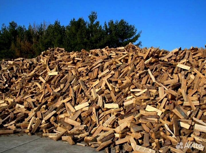 Дрова осина ольха береза