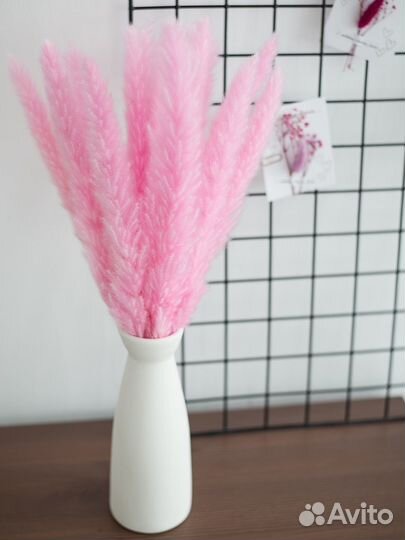 Пампасная трава, кортадерия, сухоцветы