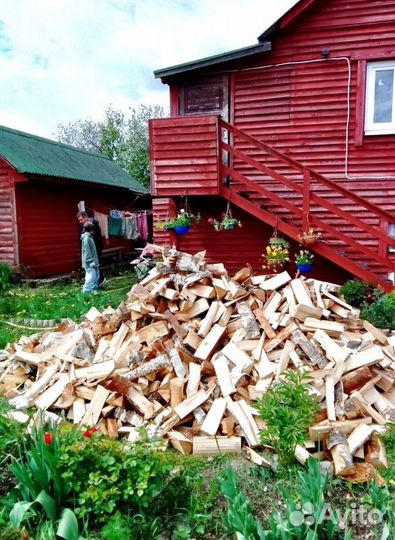 Дрова колотые Осина