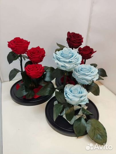 Роза в колбе