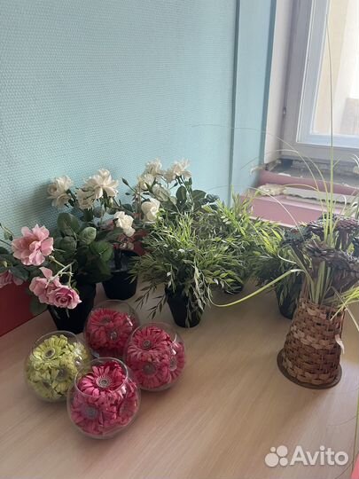 Искусственные растения