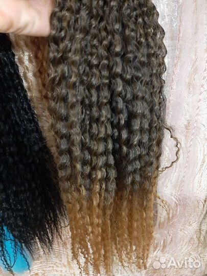 Афрокудри попрядные, канеколон