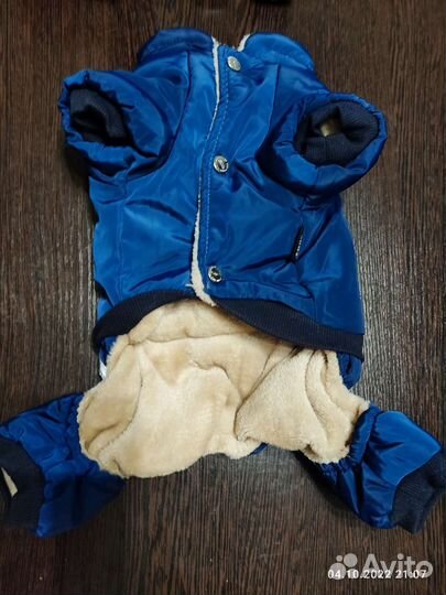 Одежда для маленьких собак m