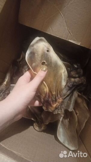 Лакомства для животных