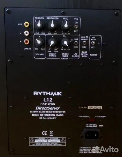 Rythmik Audio L12 Direct Servo Subwoofer