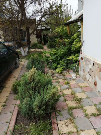 Дом 100 м² на участке 8,6 сот.