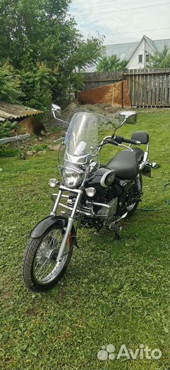 Bajaj avenger 220 cruise