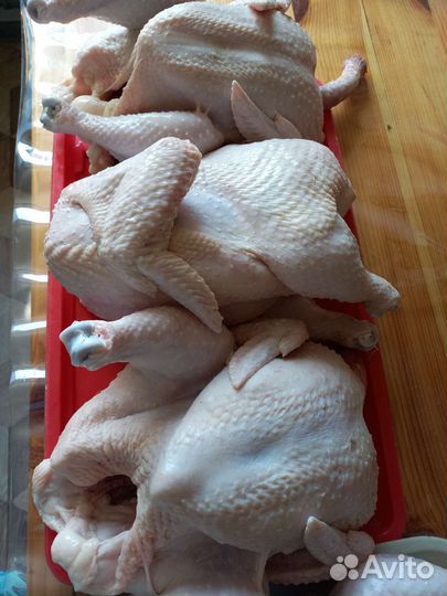 Мясо бройлера