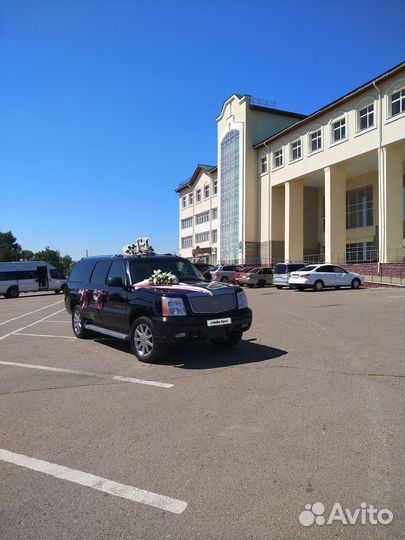 Cadillac Escalade 6.0 AT, 2004, 375 000 км