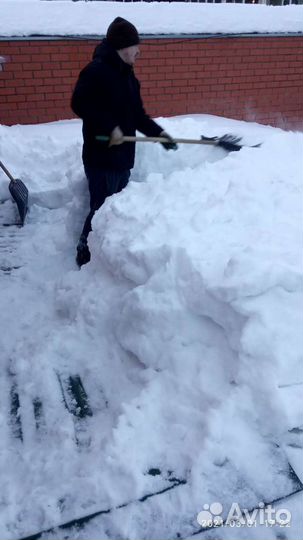 Грузчики, демонтаж,разнорабочие