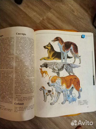 Энциклопедии