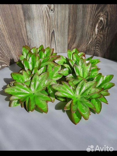 Искусственная зелень для букетов