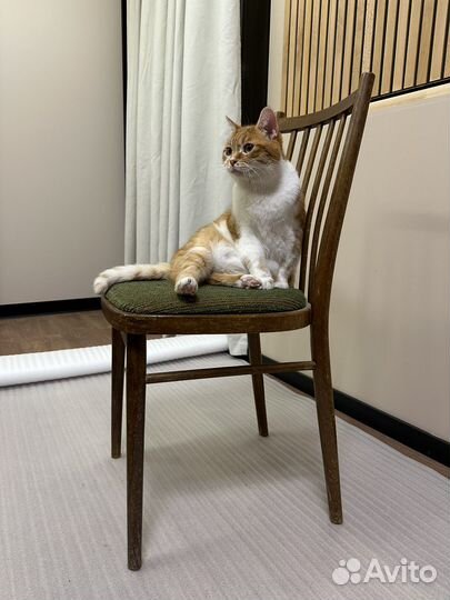 Стулья СССР