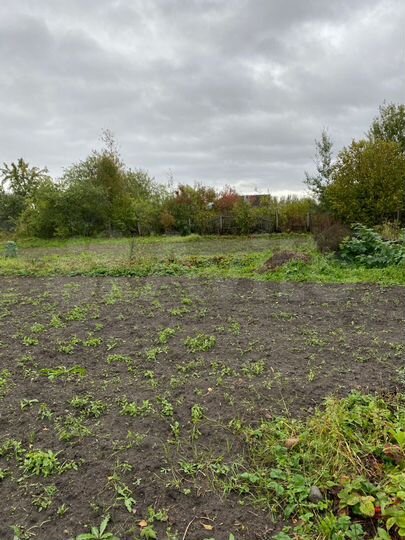 Участок 9 сот. (СНТ, ДНП)