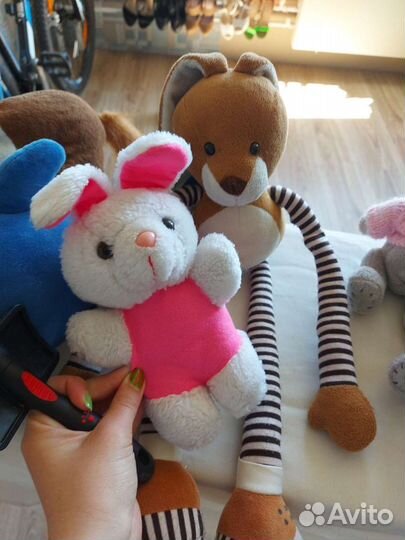 Продаю дельфина