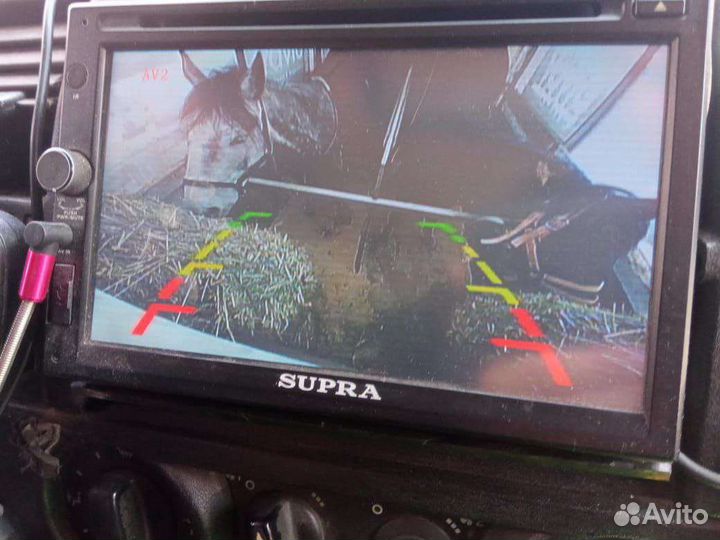 Перевозка крс, лошадей, других животных