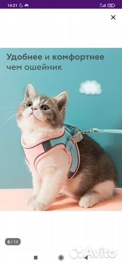Шлейка. Новая, для маленьких собак