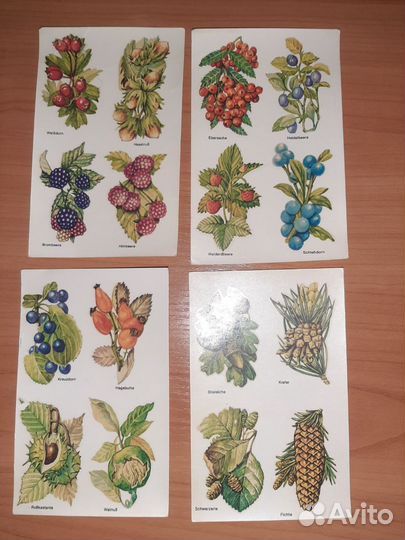 Переводные картинки гдр