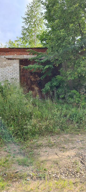 Свободного назначения, 365.5 м²