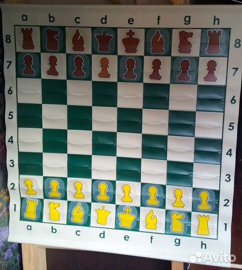 Шахматы демонстрационные