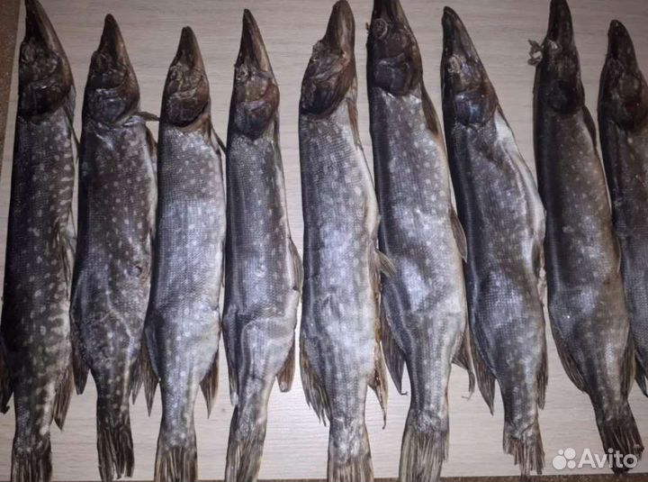 Рыба сушеная(вяленая) свежак
