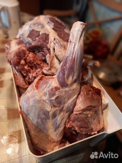 Мясо баранина свежая