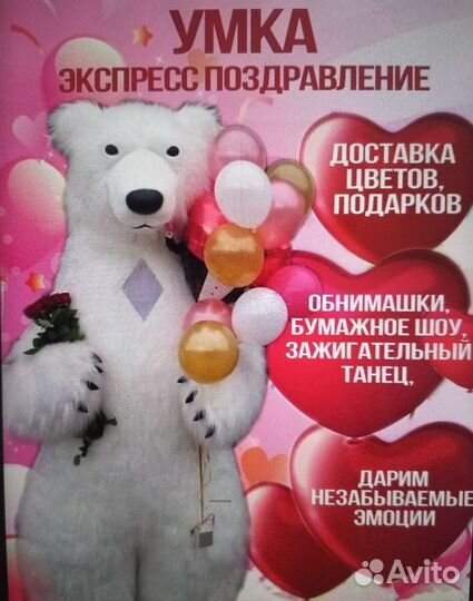 Мишки Тедди и Компания