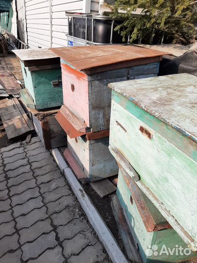 Улей для пчел бу, 10 штук