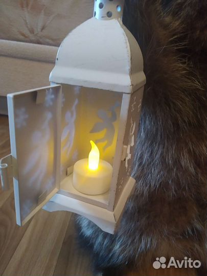 Чучело енота