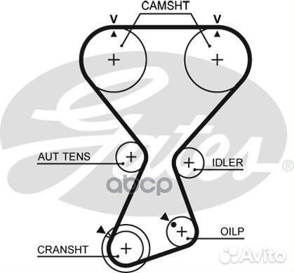 Ремень грм 2 T313 Gates