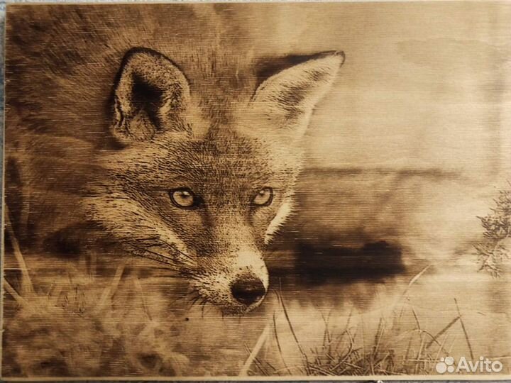 Выжигание на дереве картин и портретов. На заказ