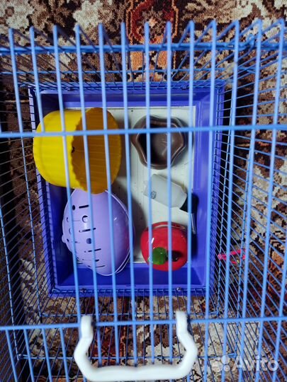 Клетка для хомяка бу