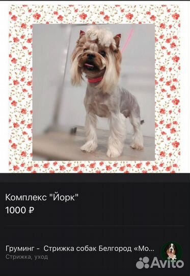 Груминг / стрижка собак