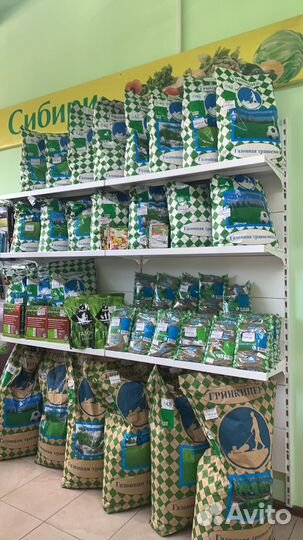 Газонная трава