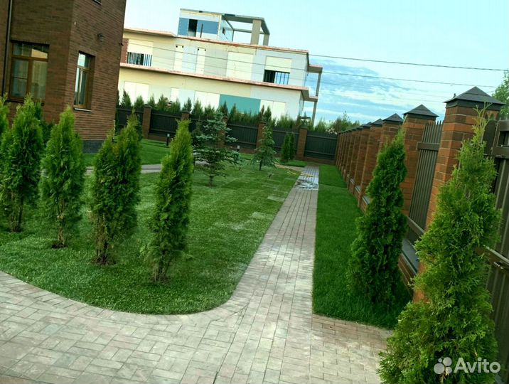 Рулонный газон