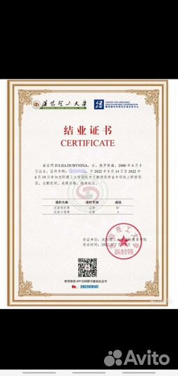 Репетитор китайский и английский язык для детей