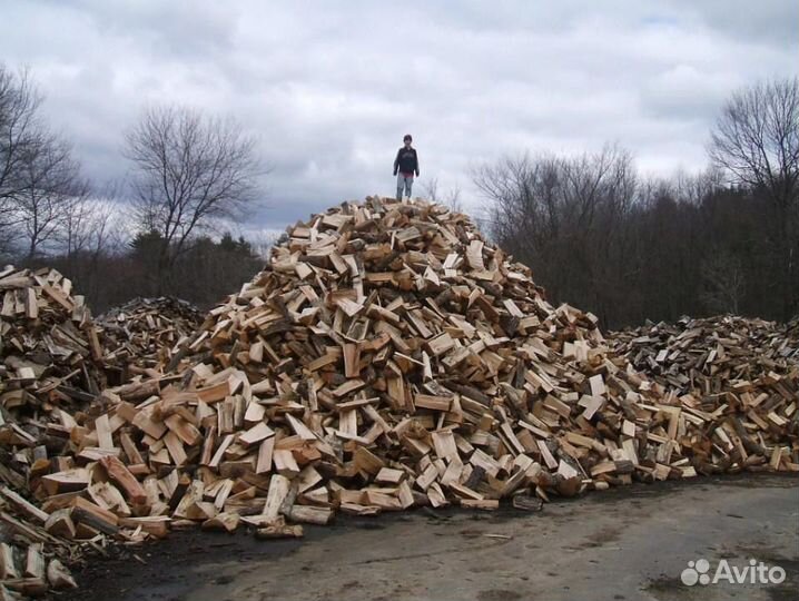 Дрова березовые колотые сухие
