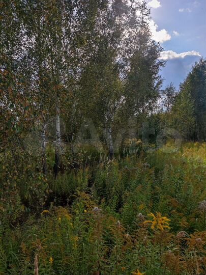 Участок 25,32 га (ИЖС)