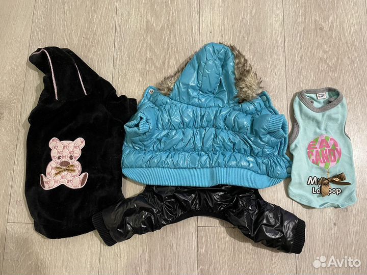 Одежда и обувь для собак