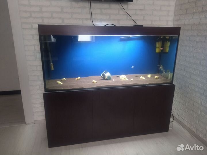 Продается аквариум