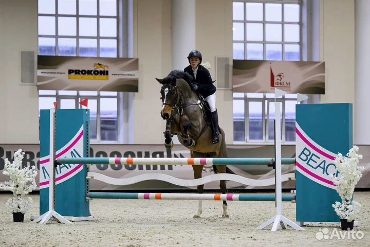 Продается кобыла 6 лет