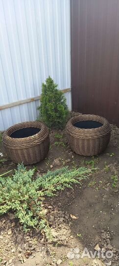 Кашпо из ротанга