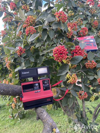 Polaroid Cool Cam 600 black/red винтаж