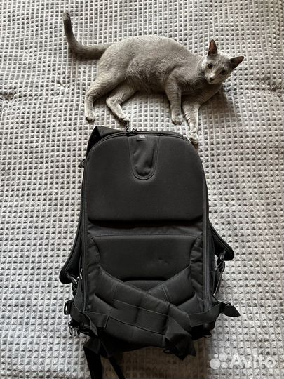 Фоторюкзак Lowepro Flipside 500 AW II