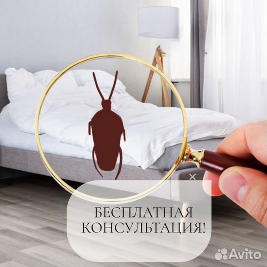 Дезинфекция