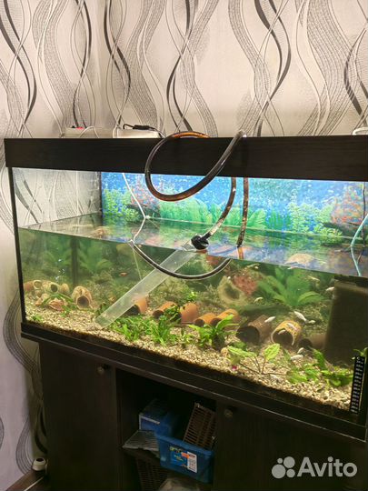 Аквариум 220 литров