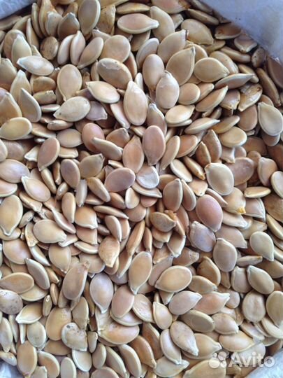 Семена тыквы (жаба )