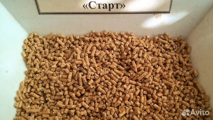 Индюк старт